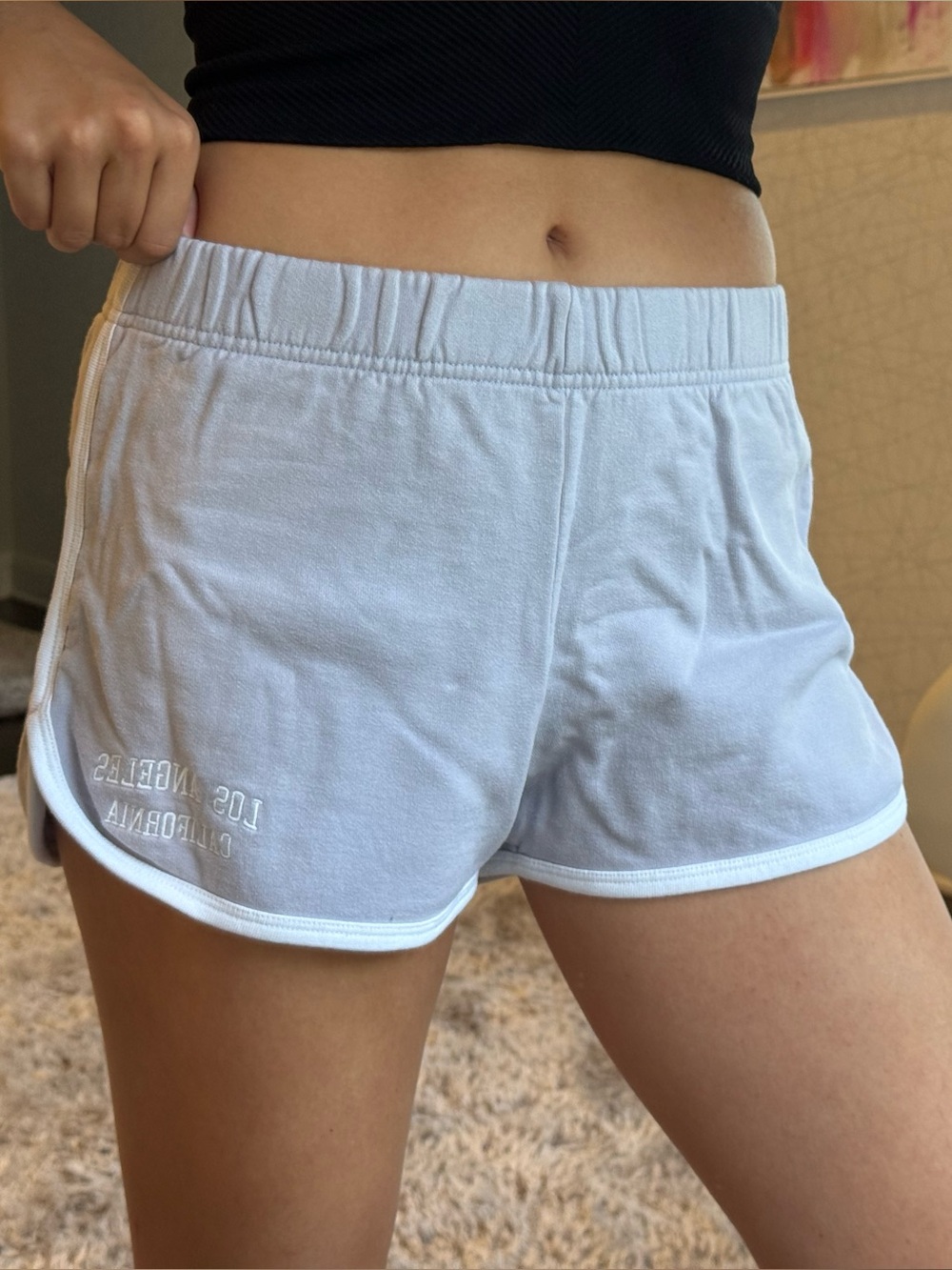 Brandy Melville Light Blue Athletic Lounge Shorts
